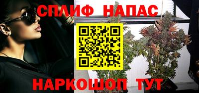 наркотики Гатчина