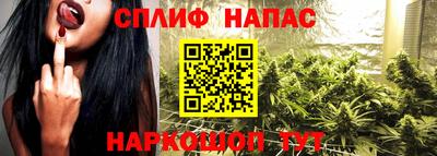 наркотики Гатчина