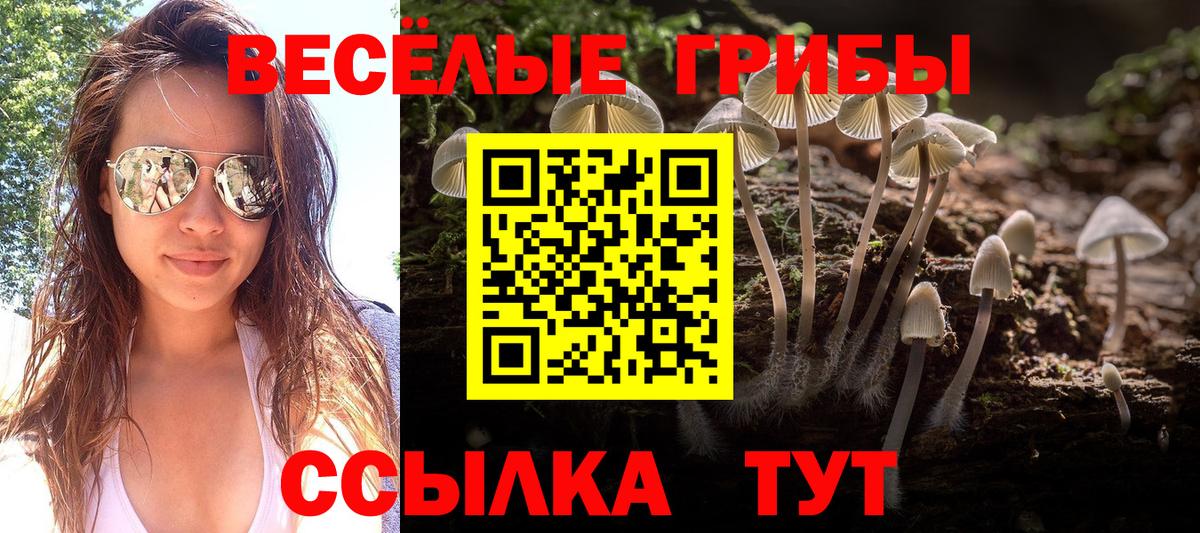 Иркутск  Псилоцибиновые грибы ЛСД  Вход с VPN 